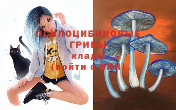 бутират Балахна