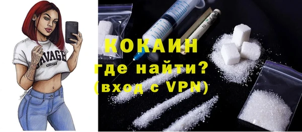 бошки Семилуки