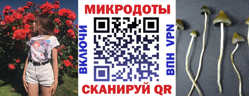 ссылка на мегу ONION  Заречный  Галлюциногенные грибы Magic Shrooms 